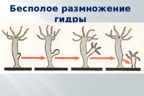 Кракен перестал работать